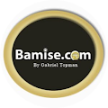 bamise-logo